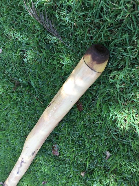 Plain Didgeridoo