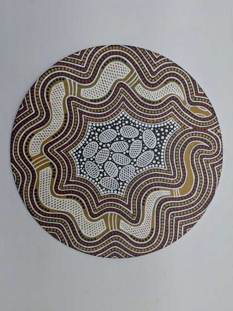 Snake nest and their eggs